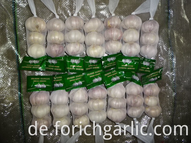 Crop 2019 Fresh Normal White Garlic